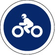 Si conduce una motocicleta con sidecar, ¿está obligado a circular por la calzada a cuya entrada está situada esta señal?